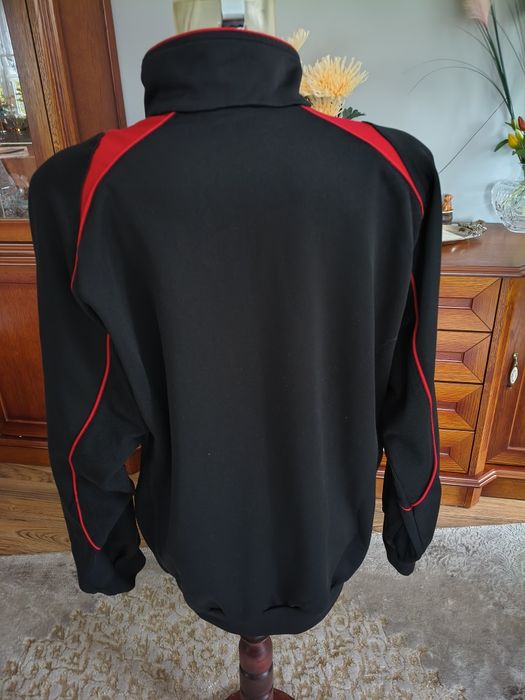 Bluza męska sportowa Zina