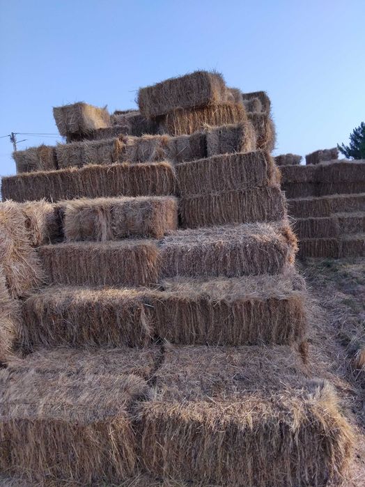 Fardos de palha.
