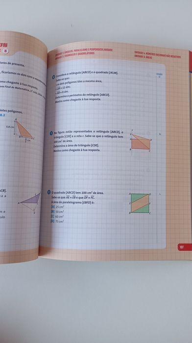 Cadernos de atividades e Manuais 5° ano