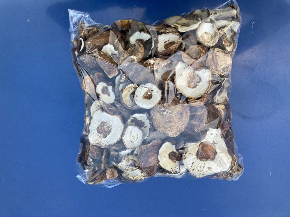 Білі сухі і мариновані грибочки ,лисичка суха маринована