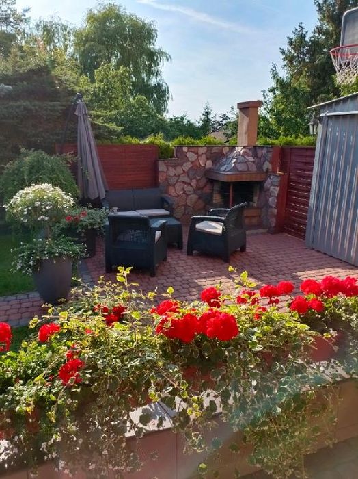 Pokój  3 osobowy na wynajem Rewa