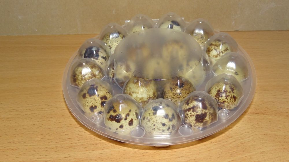 Лоткидля перепелиних яєць