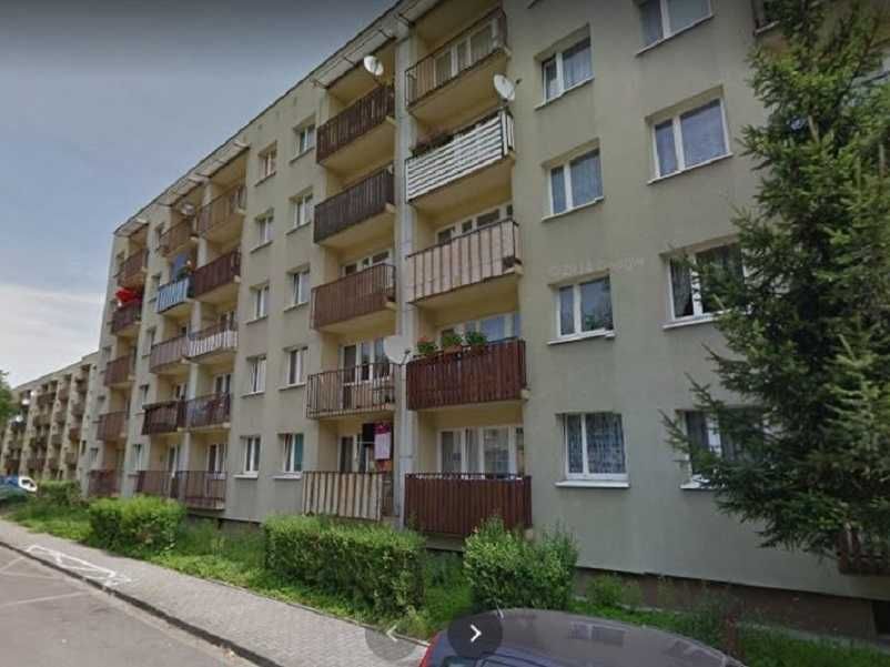 Zdjęcie 8
