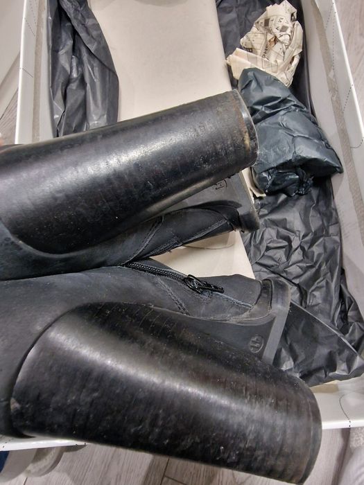 Сапоги женские bronx