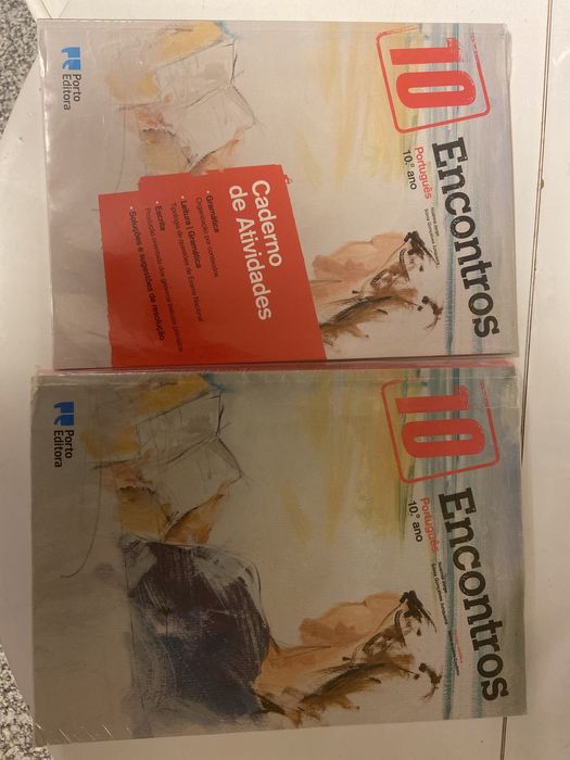 Encontros 10 ano português