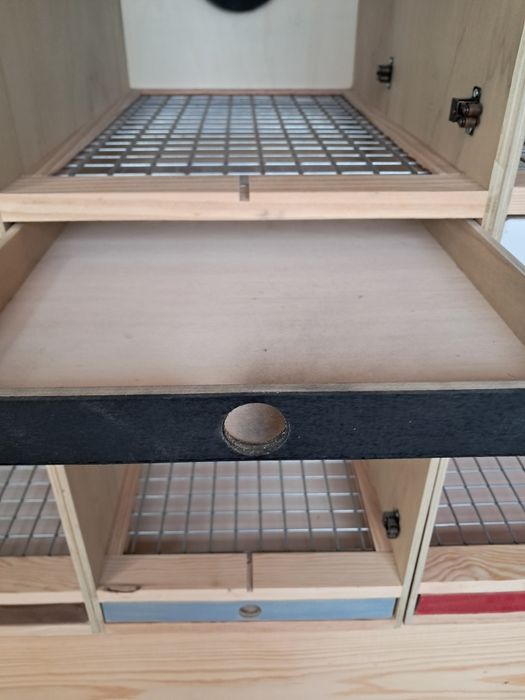 Casulos à medida para pombos