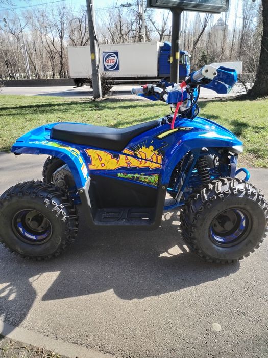 Електроквадроцикл COMMAN TEA750D-01