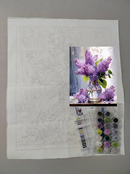 Malowanie po numerach 40x50 bez