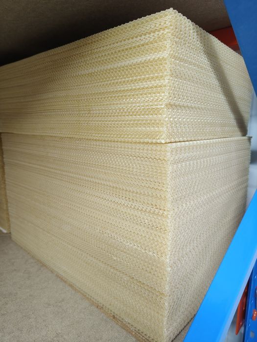 Węza wielkopolska i dadant