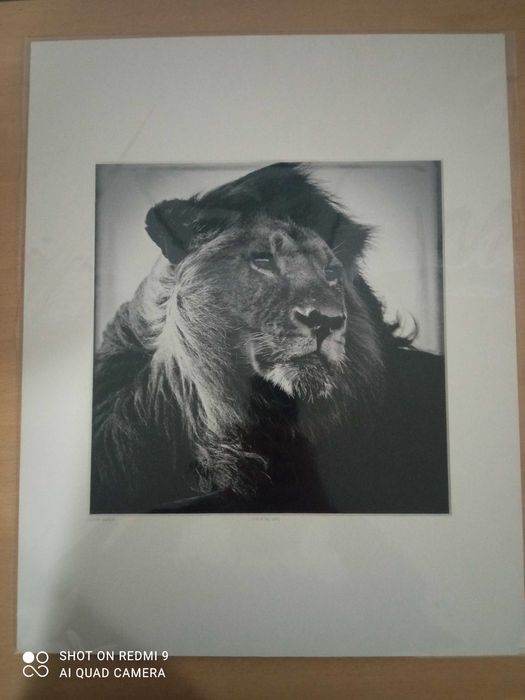 Fotogafia de Arte Yellow Korner