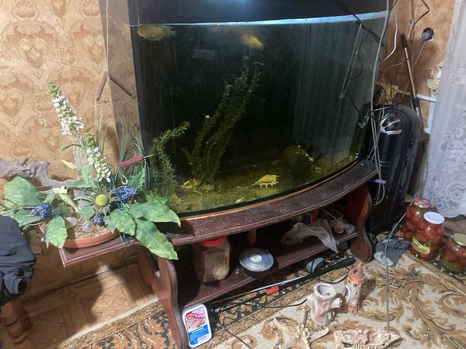 Акваріум 250 л