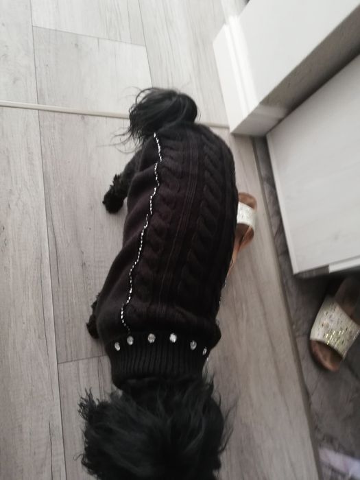 Ubranko dla psa firmy Trixi _nowe