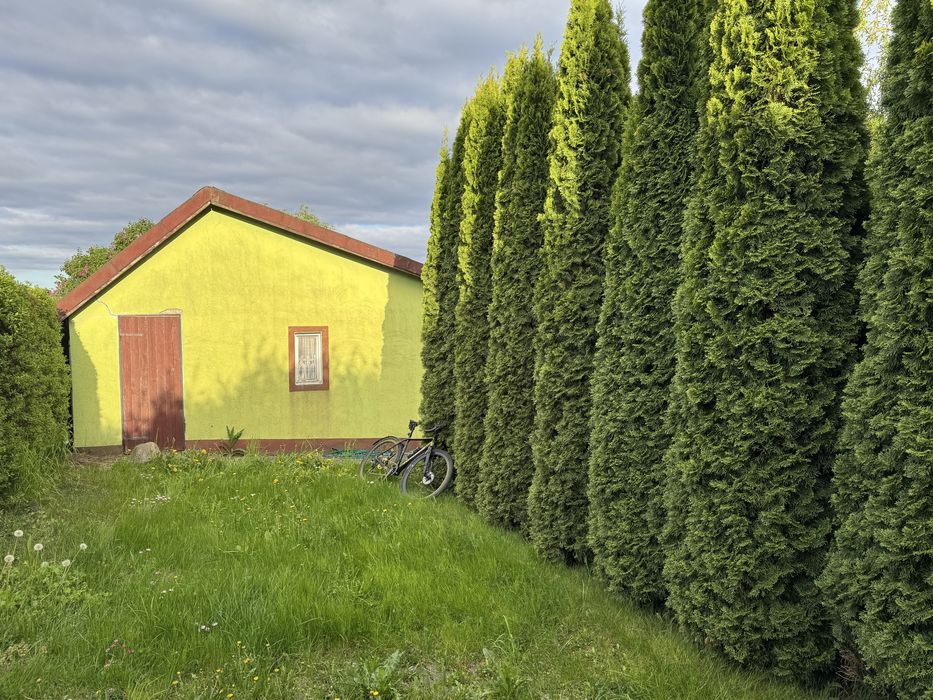 Działka ROD narożna z wlasnym wjazdem i parkingiem 600 m² - Widok 4