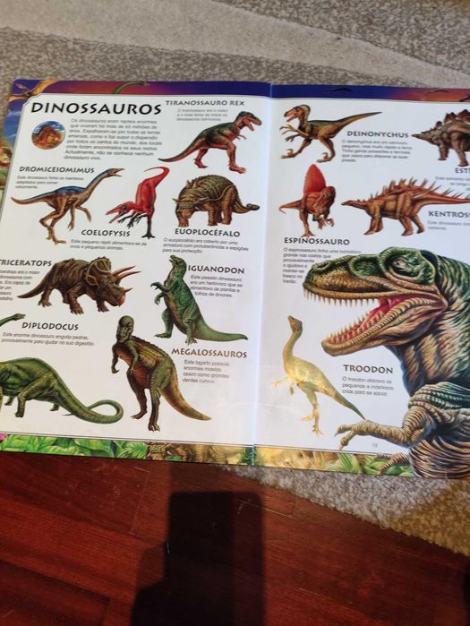 Livro grande infantil animais