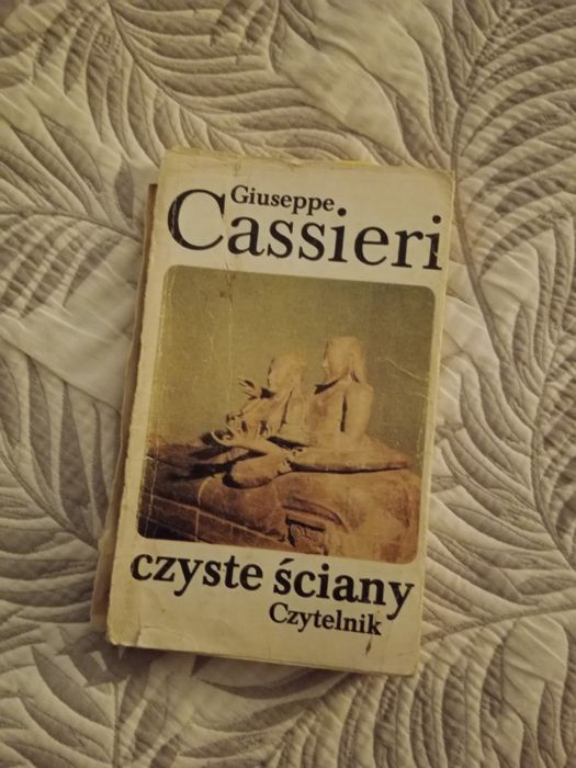 Giuseppe Cassieri. Czyste ściany