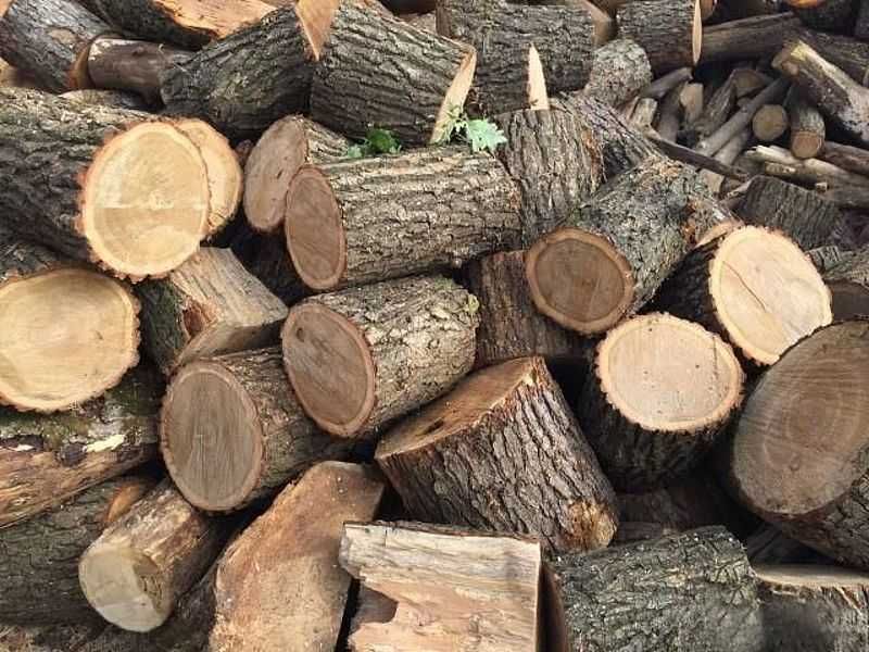 Дрова від 1500 грн твердих порід та сосна колоті,кругляк