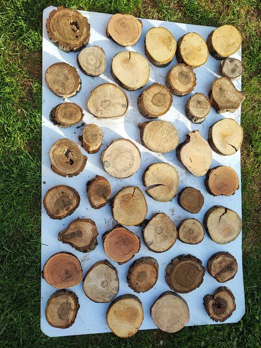 Plasterki orzech włoski, jabłoń, śliwa