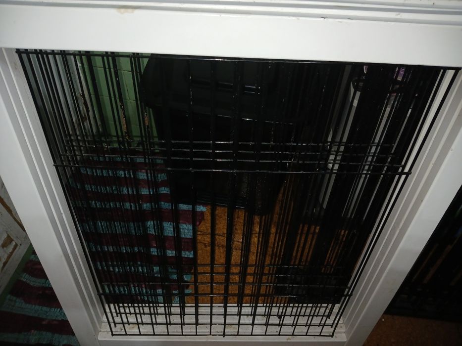 Grades para crianças ou cães. 2 conjuntos