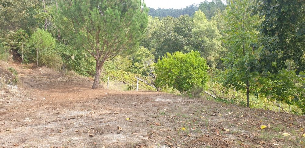 Quintinha em Amarante