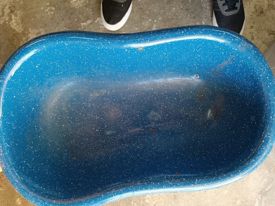 Bidé em esmalte azul