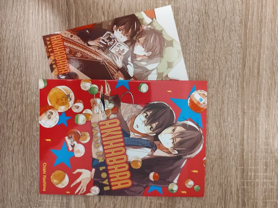 Akihabara fall in love manga BL
