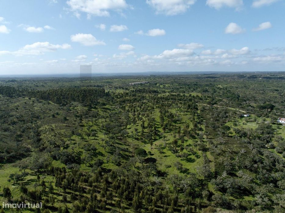 Terreno Rústico com 9,3 Hectares na Serra de Grândola – Mosqueirões