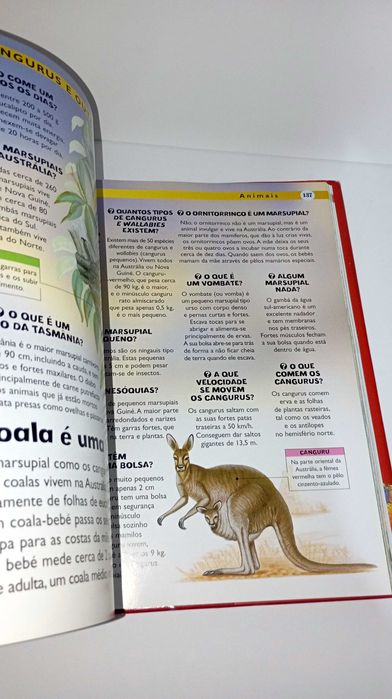 A Enciclopédia das Perguntas e Respostas