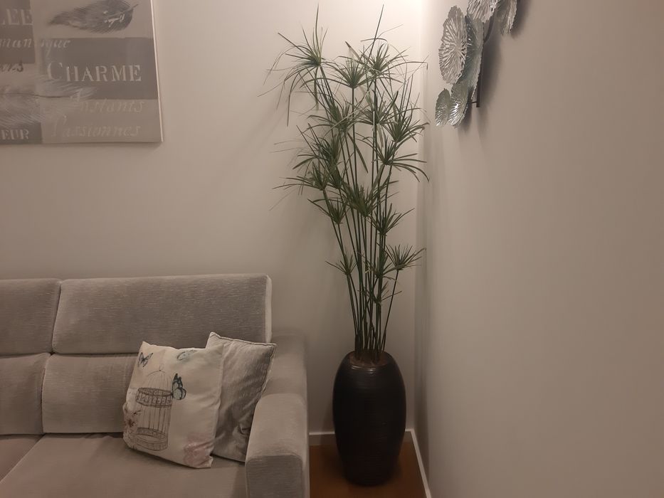 Planta artificial papiros