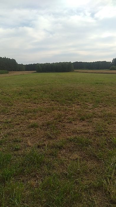 Gospodarstwo rolne 9 ha