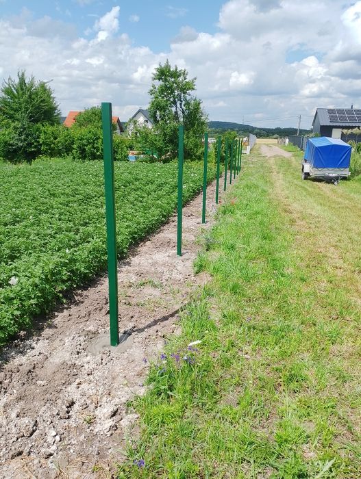 PRO-BUD Usługi brukarskie/ogrodzeniowe plus mniejsze prace budowlane