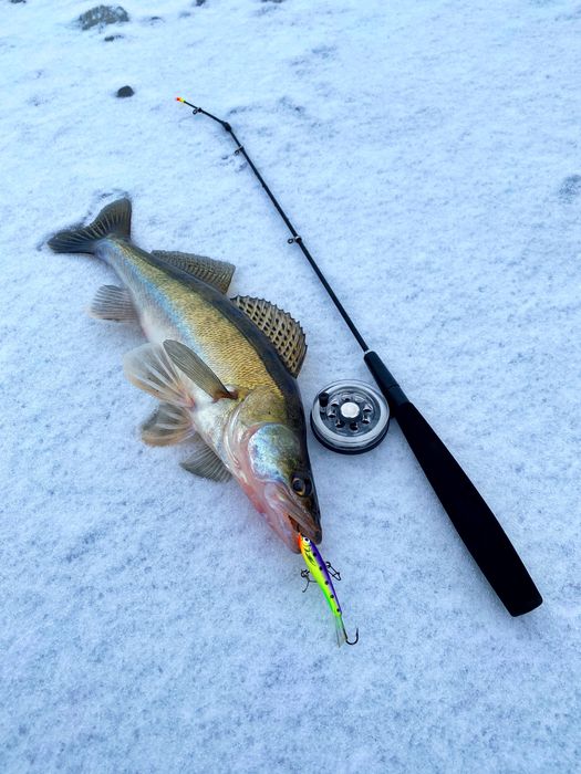 Удочка зимняя Судаковая. Удочка блеснилка зимняя для ловли судака