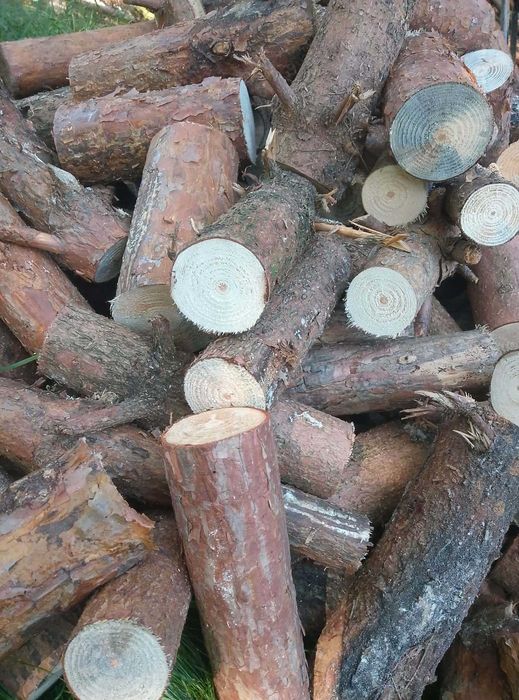 Drewno opałowe gałęziówka cięta iglasto-liściasta. TRANSPORT