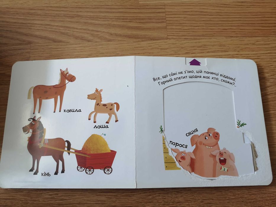 Книги з рухомими елементами Василь Федієнко, Lego