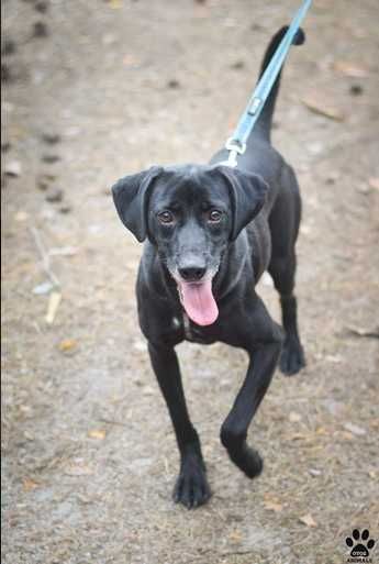 MACZO szuka bezpiecznego i aktywnego domu
