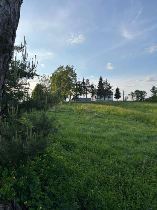 Działka budowlana 56ar - Widok 4