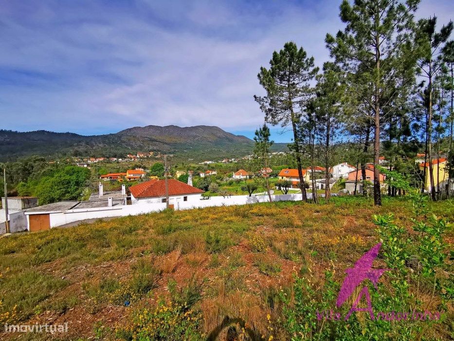Terreno em Nogueira com vista desafogada