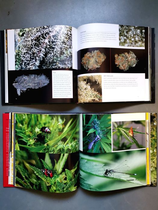 Livros Canábis - Cannabible 1a edição