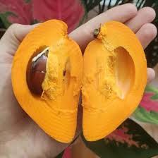 Frutas Tropicais