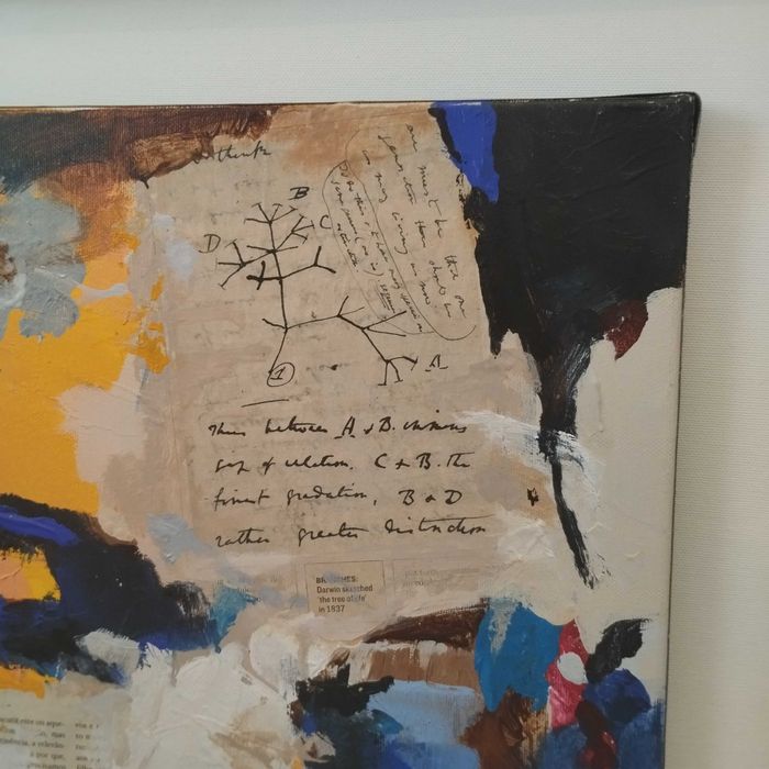 Quadro Alfredo Coelho (2007) - Técnica Mista "Darwin" - 67x55cm. Adquirido na P55.ART