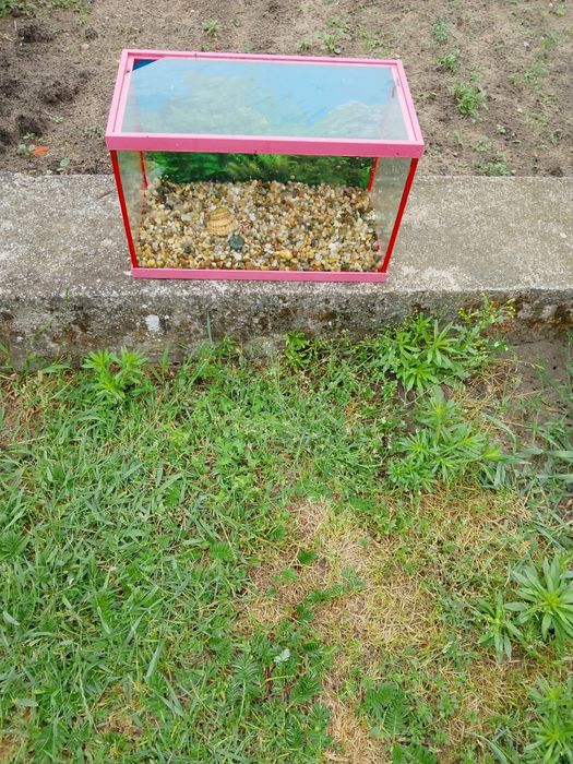 Sprzedam akwarium/terrarium