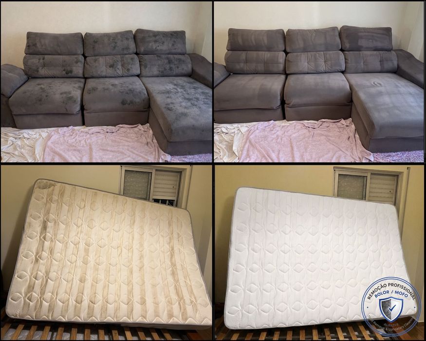 Bolor / Mofo – Remoção e Tratamento | Algarve | Mould Removal