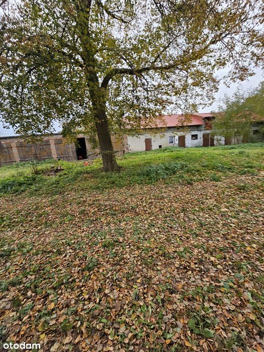 Piękne siedlisko dom gospodarstwo