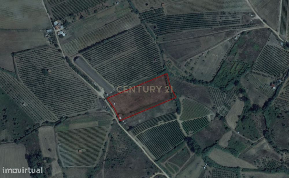 Terreno Agrícola em Freiria, Torres Vedras - 39.900€ — Freiria, Lisboa