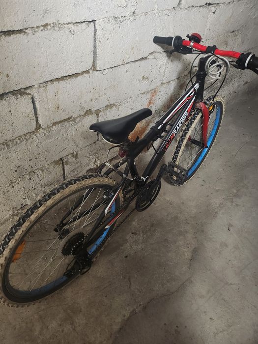Rower team rider