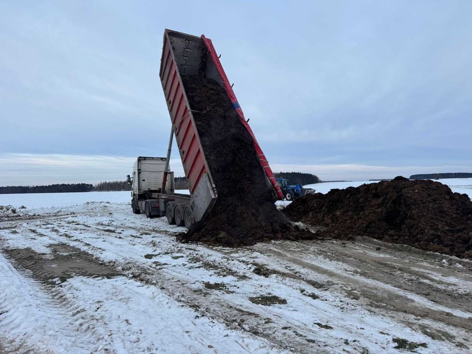 Kurzak obornik kurzy brojler pomiot z transportem