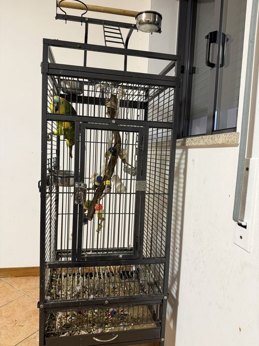 Gaiola para papagaio nova