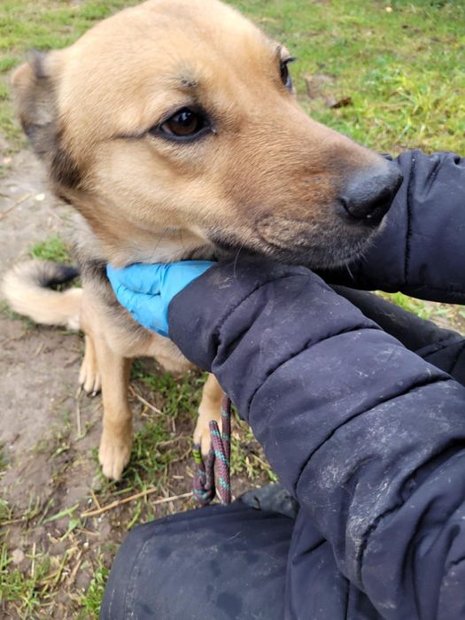 Cudowna, delikatna ARISA i jej rozpacz