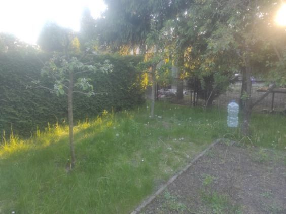 Działka ROD Świerszcza Pobiedziska