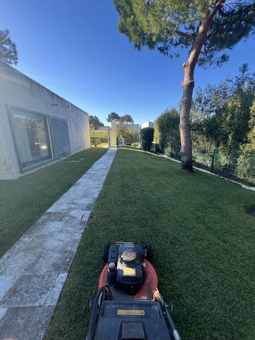 Felipe GARDENS/maintenance/