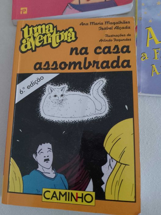Coleção de livros infantis juvenis Fadazinha Aventura e BFF